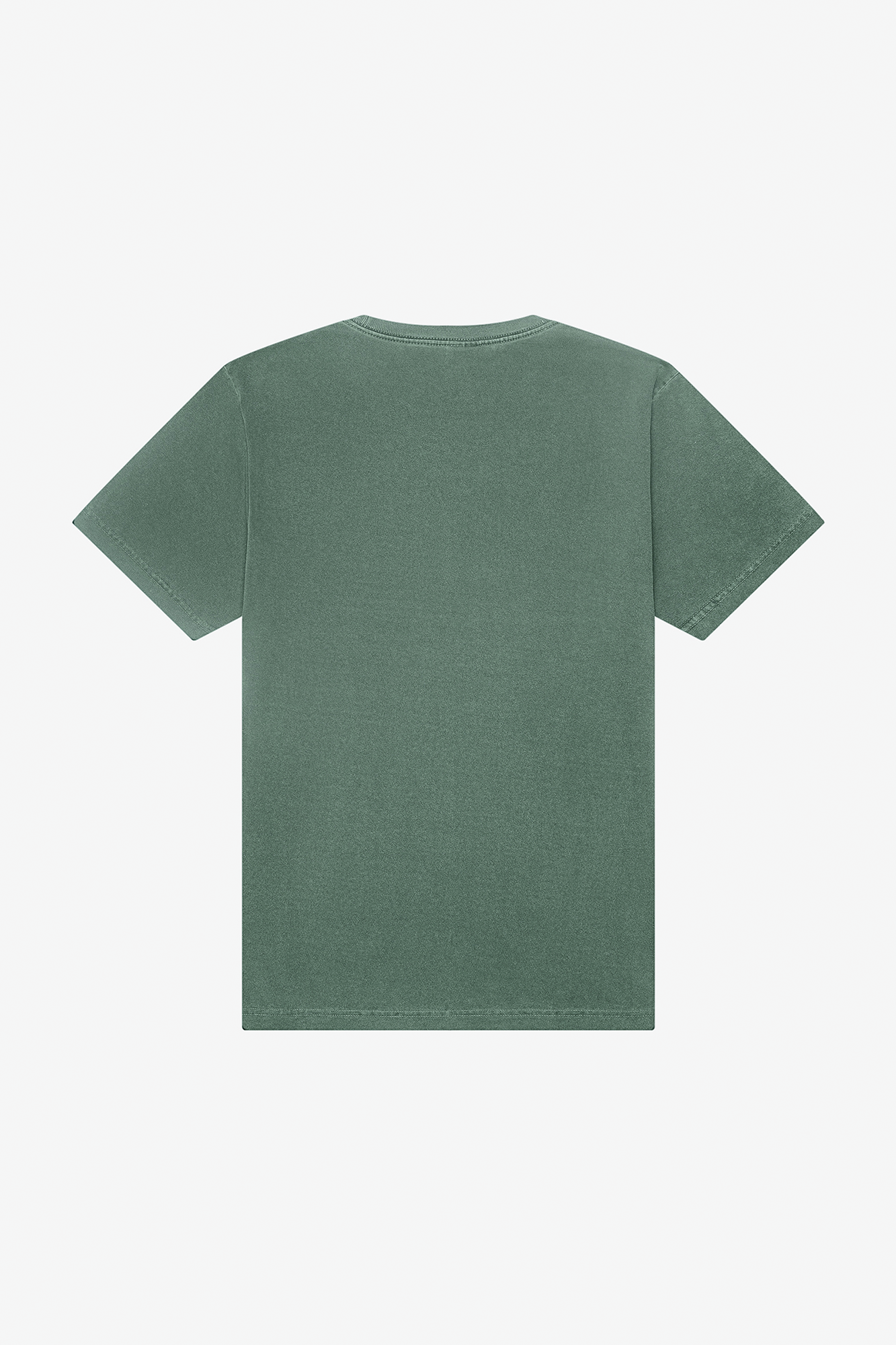 T-shirt pesada com aspecto lavado unissexo - Washed pine