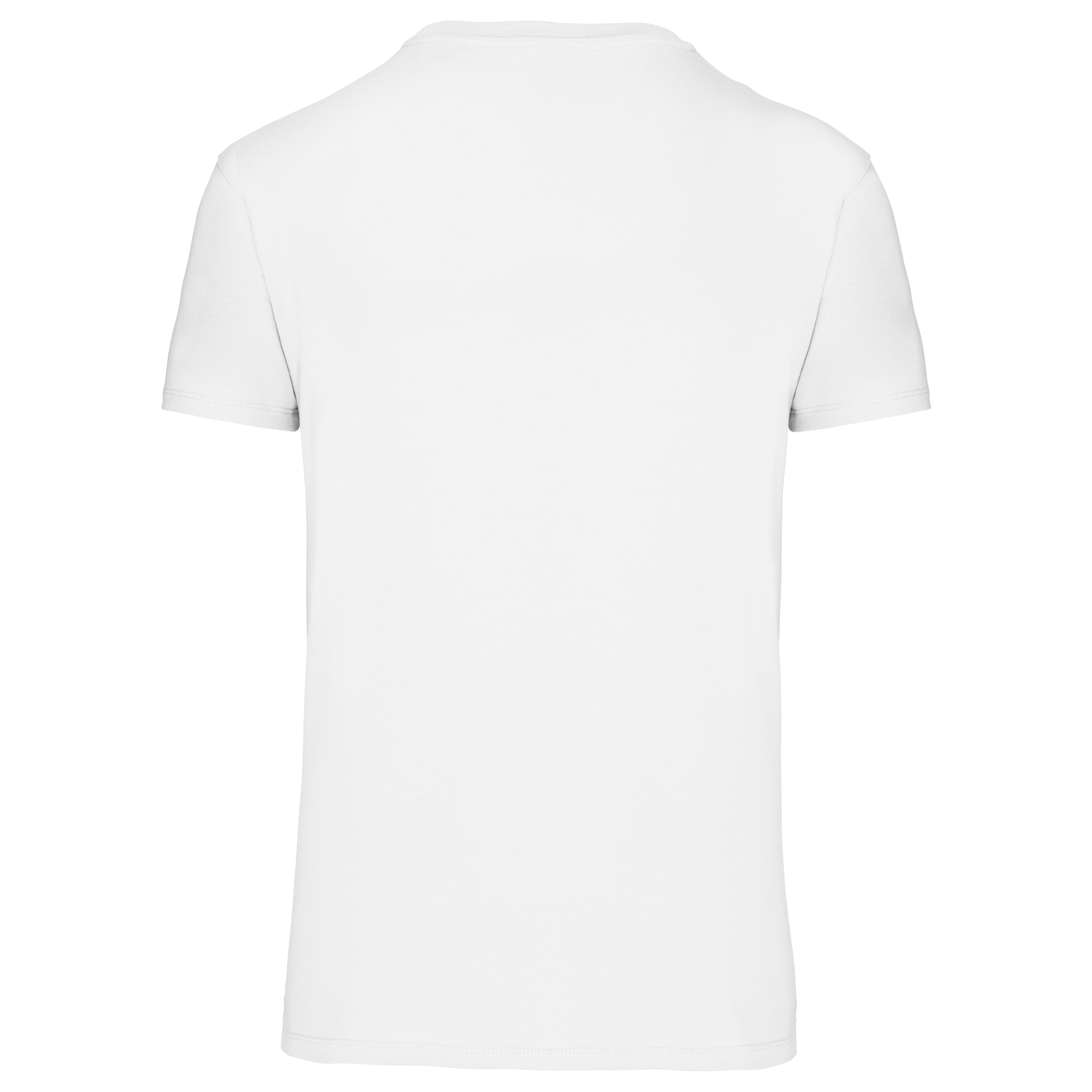 T-shirt Bio150 IC col V homme - Image 40