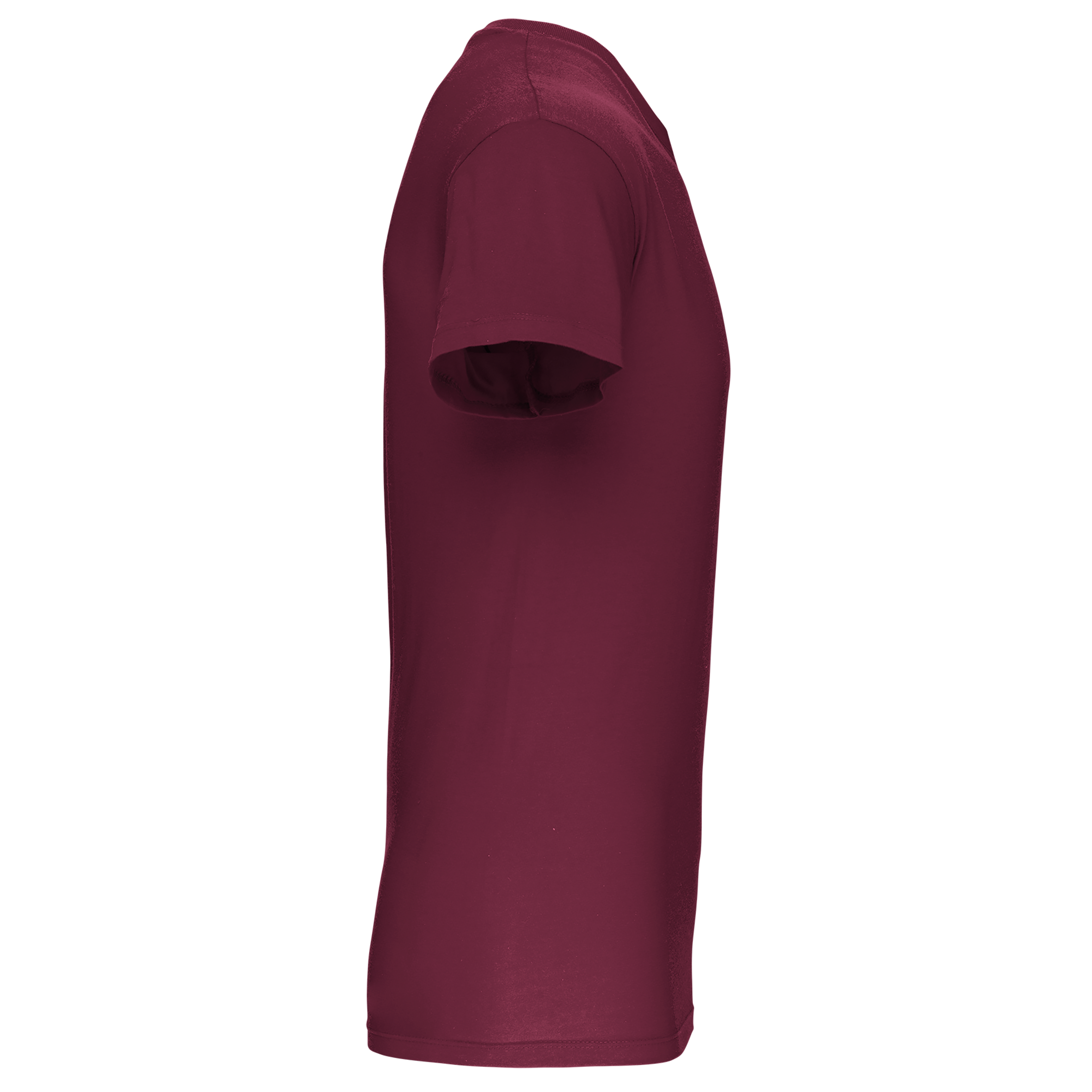 T-shirt Bio150 IC col V homme - Image 45