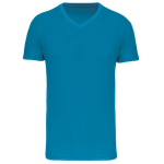 Tropical Blue