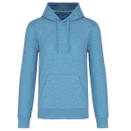 K4027 - Cloudy blue heather