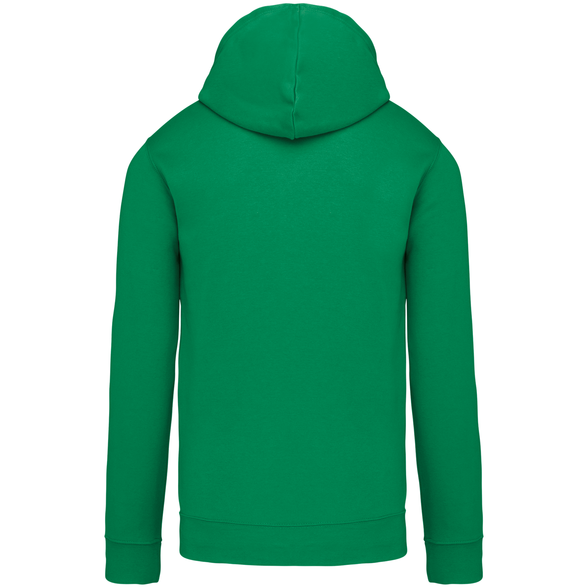 Sweat-shirt capuche contrastée homme - Image 36