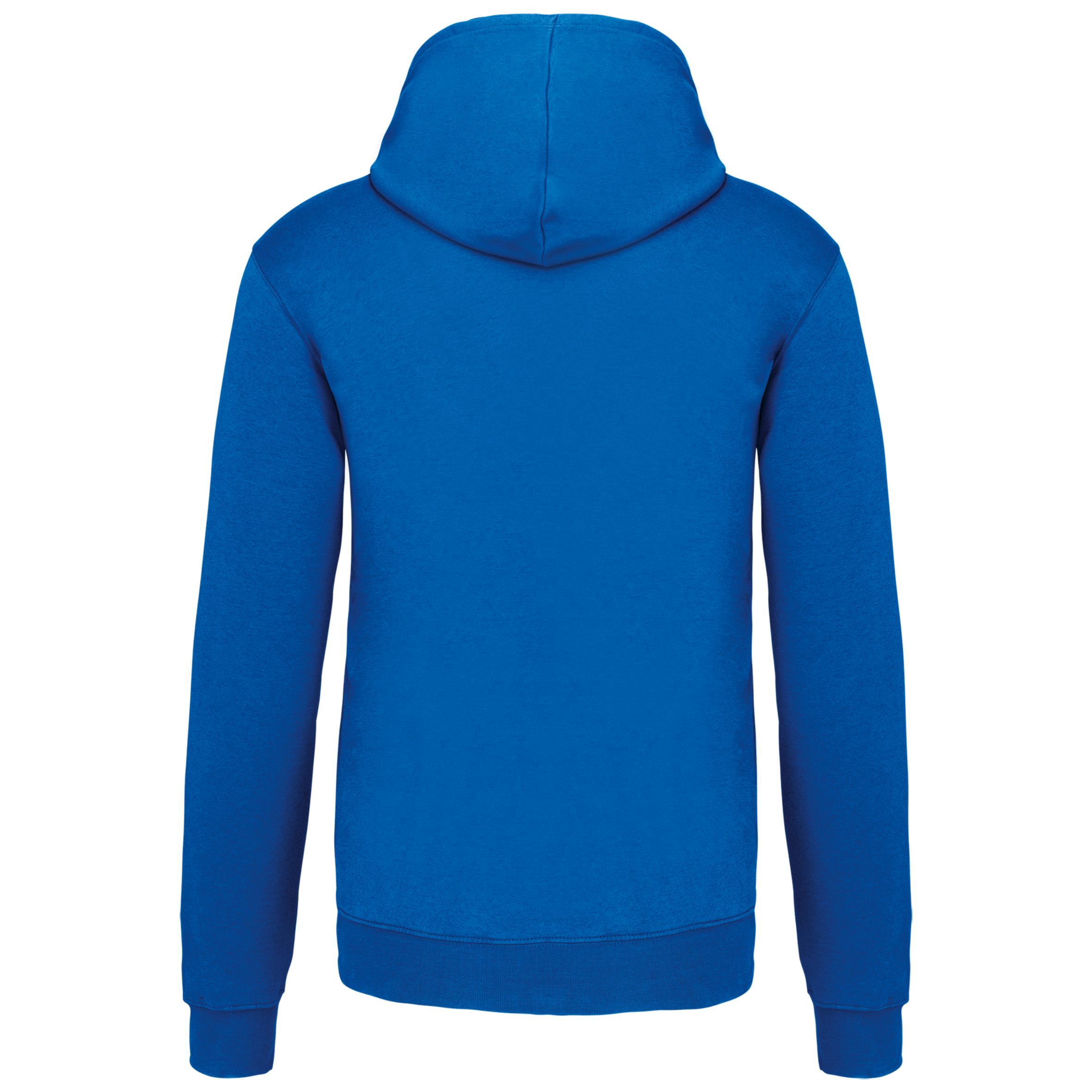 Sweat-shirt capuche contrastée homme - Image 39