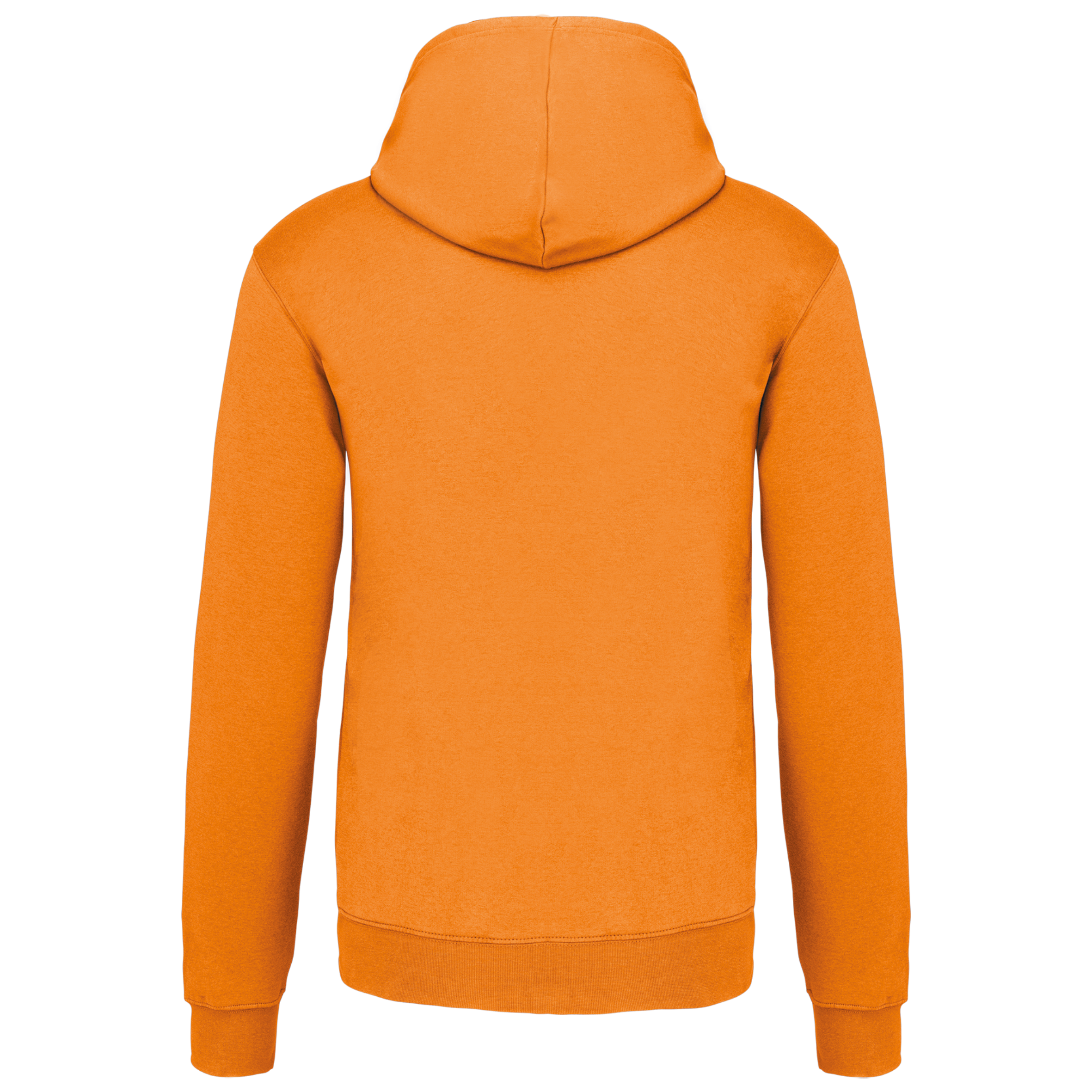 Sweat-shirt capuche contrastée homme - Image 51