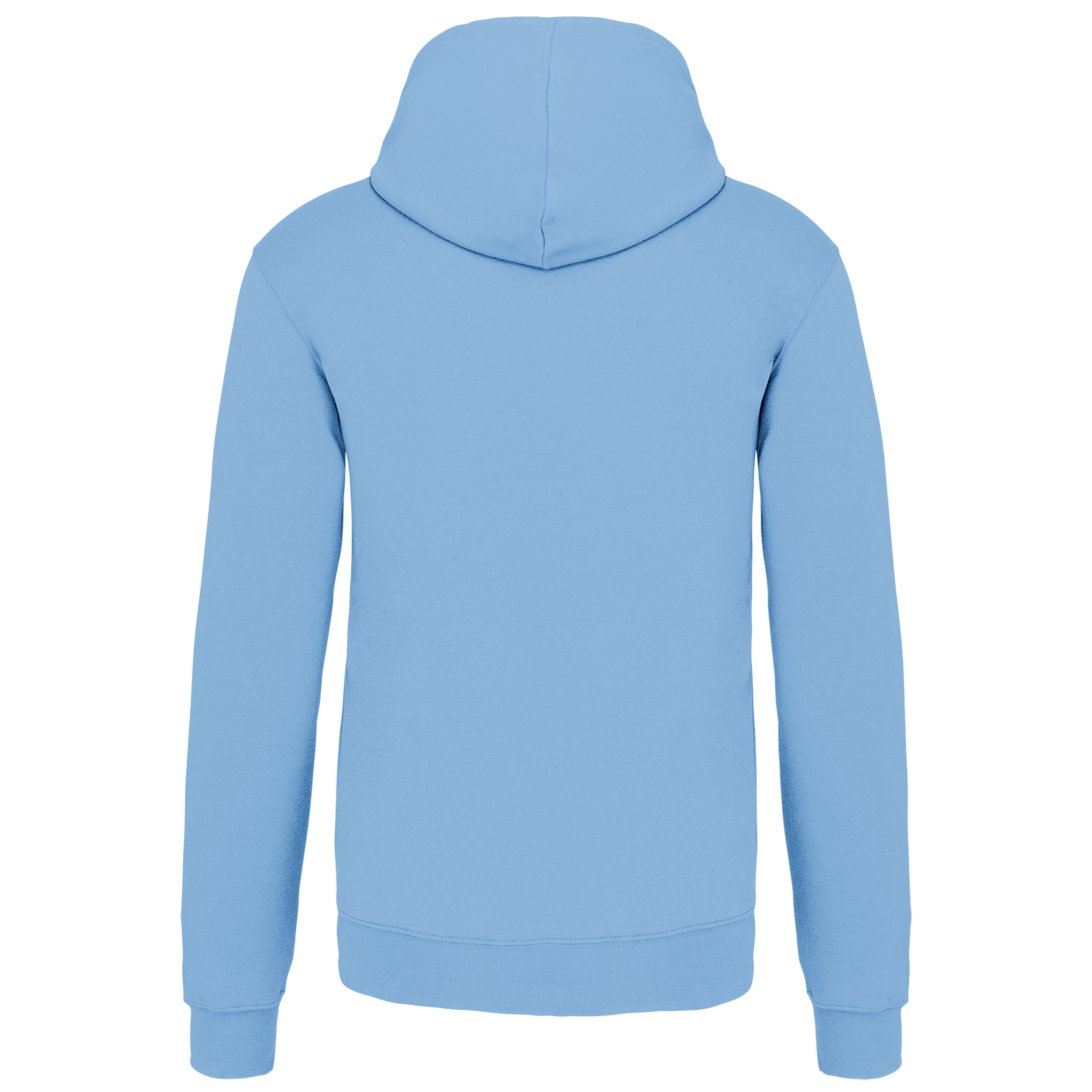 Sweat-shirt capuche contrastée homme - Image 66