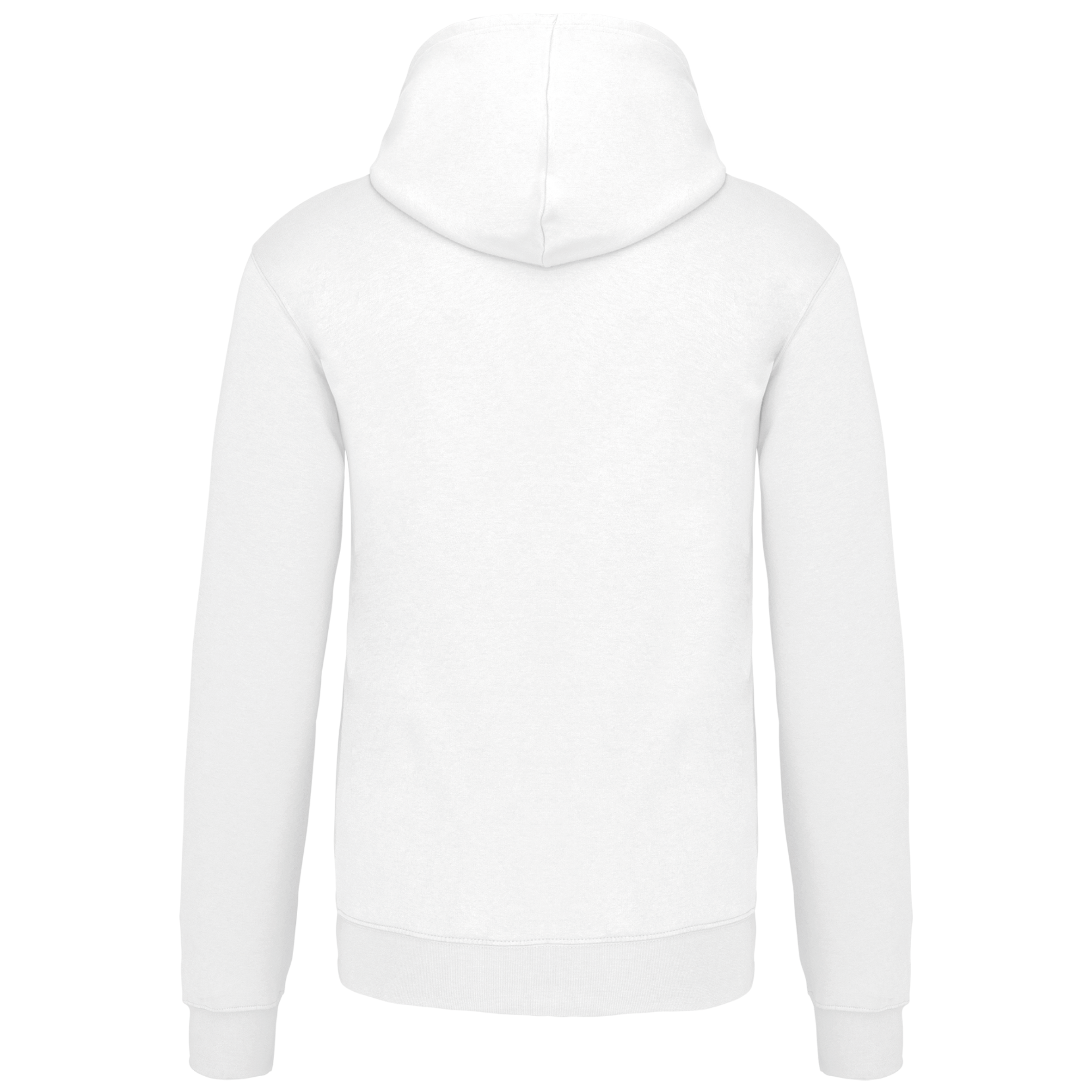 Sweat-shirt capuche contrastée homme - Image 72