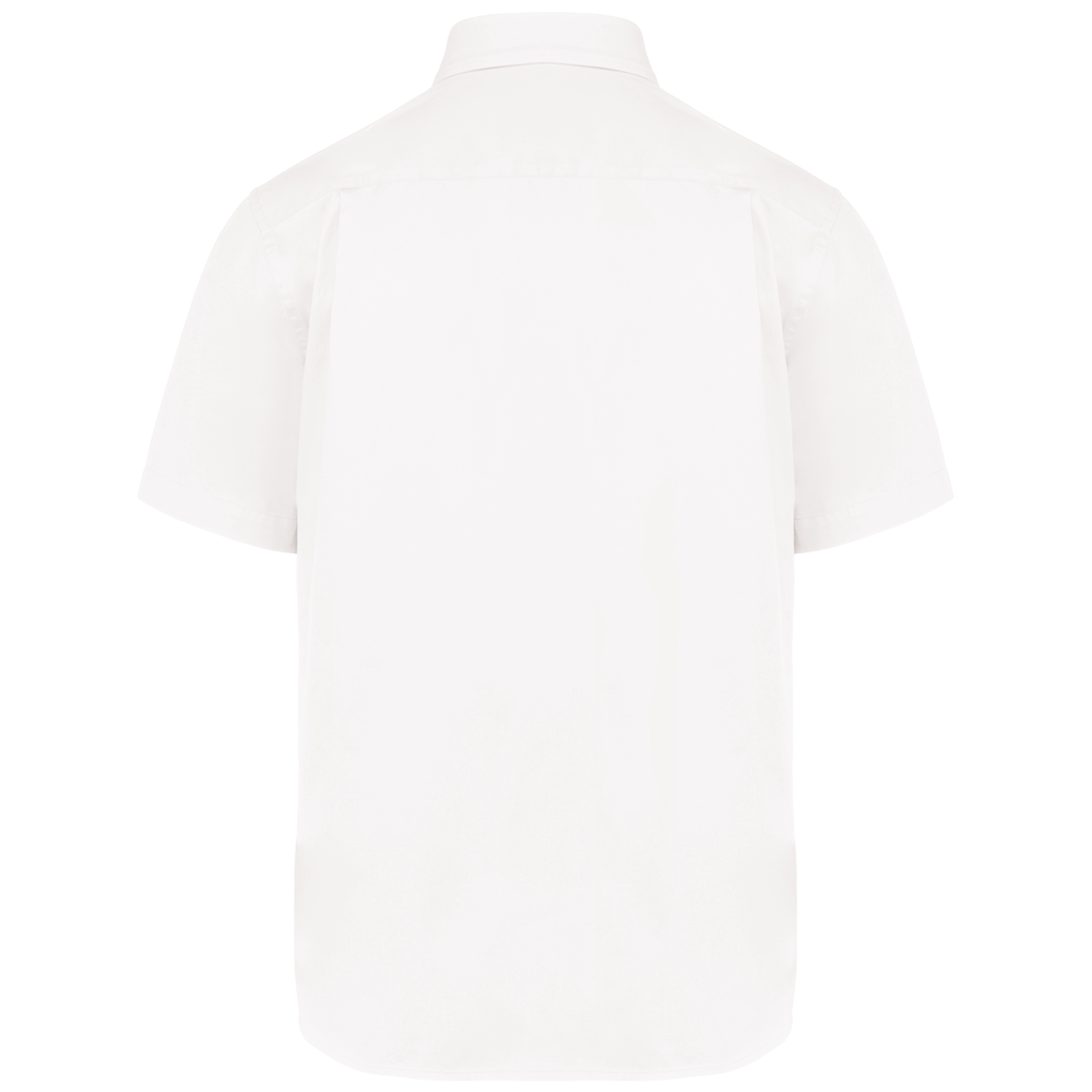 Chemise coton manches courtes Ariana III homme - Image 31