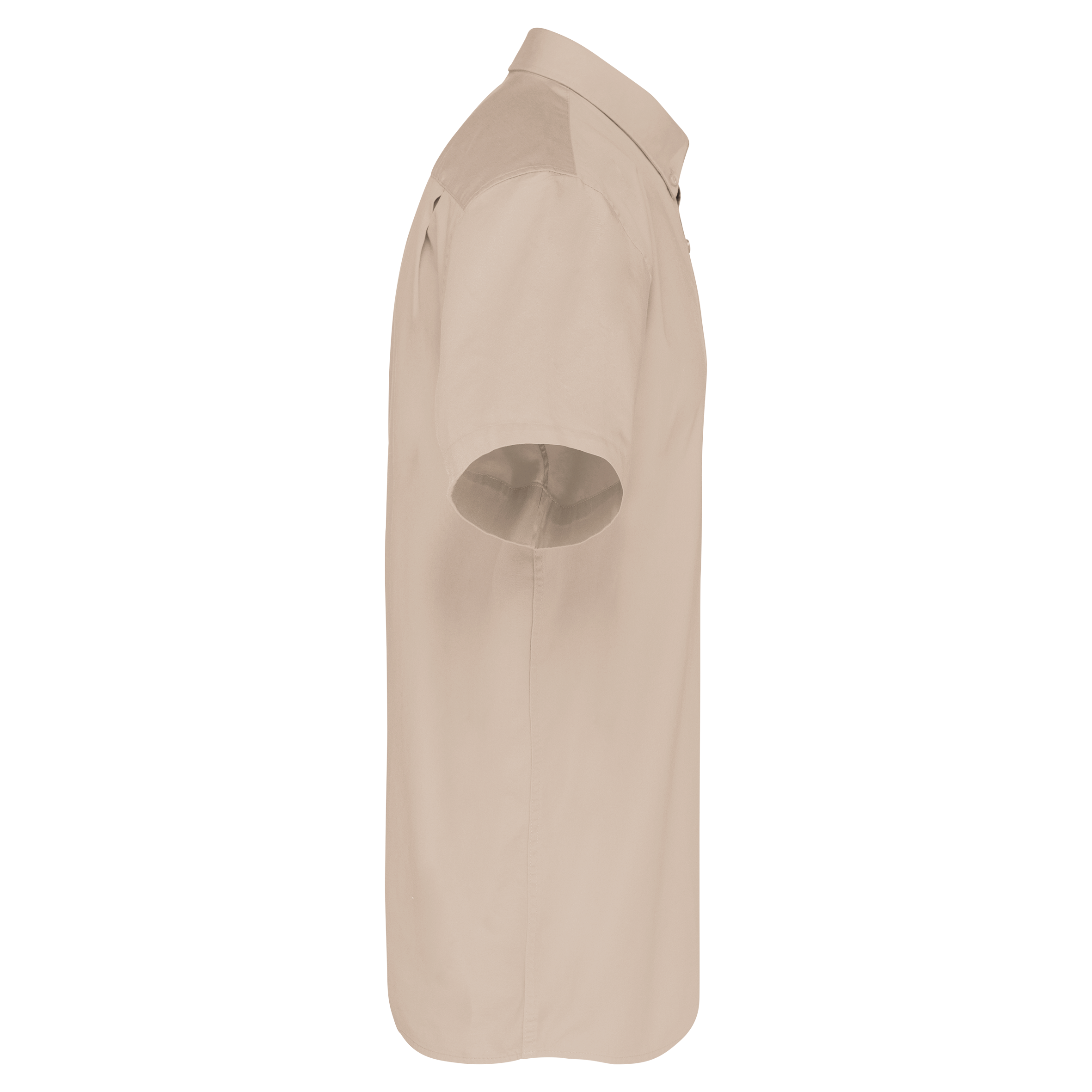 Chemise coton manches courtes Ariana III homme - Image 12