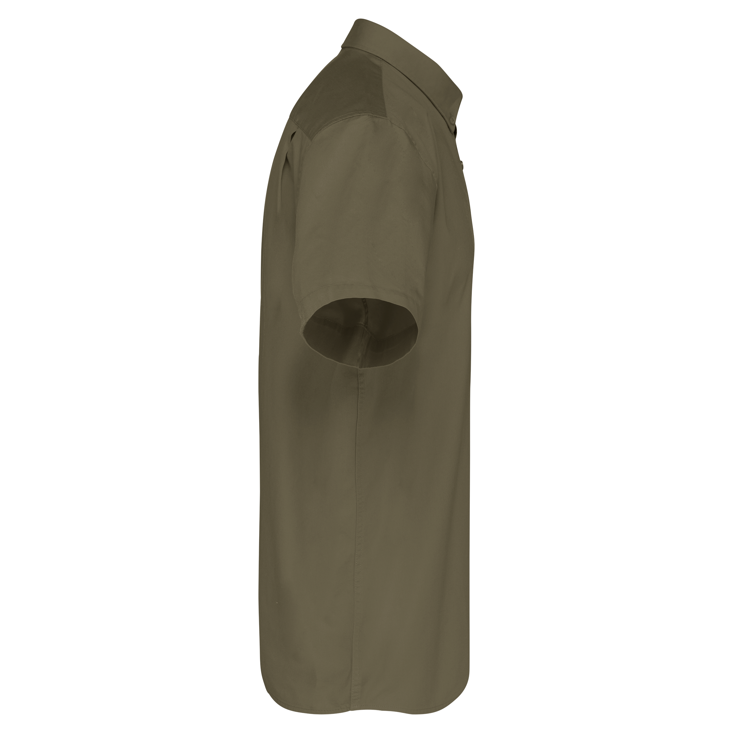 Chemise coton manches courtes Ariana III homme - Image 21