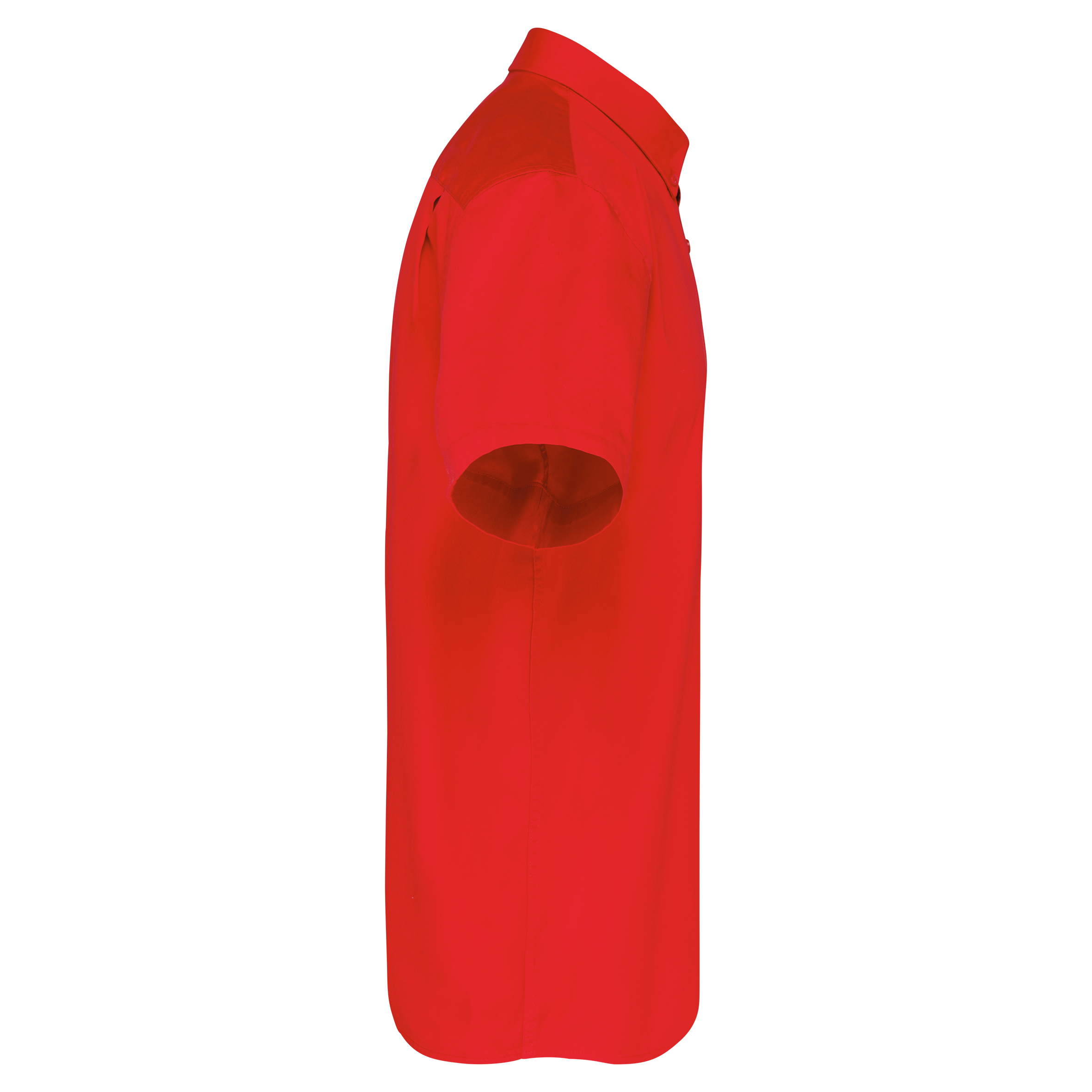 Chemise coton manches courtes Ariana III homme - Image 27