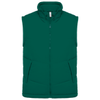 K6118 - Dark green