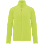 Fluorescent Yellow