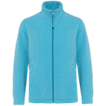 Cloudy Blue Heather