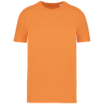 NS300 - Clementine Heather