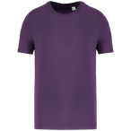 NS300 - Deep Plum