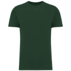 NS300 - Forest Green