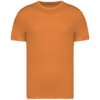 NS304 - Tangerine