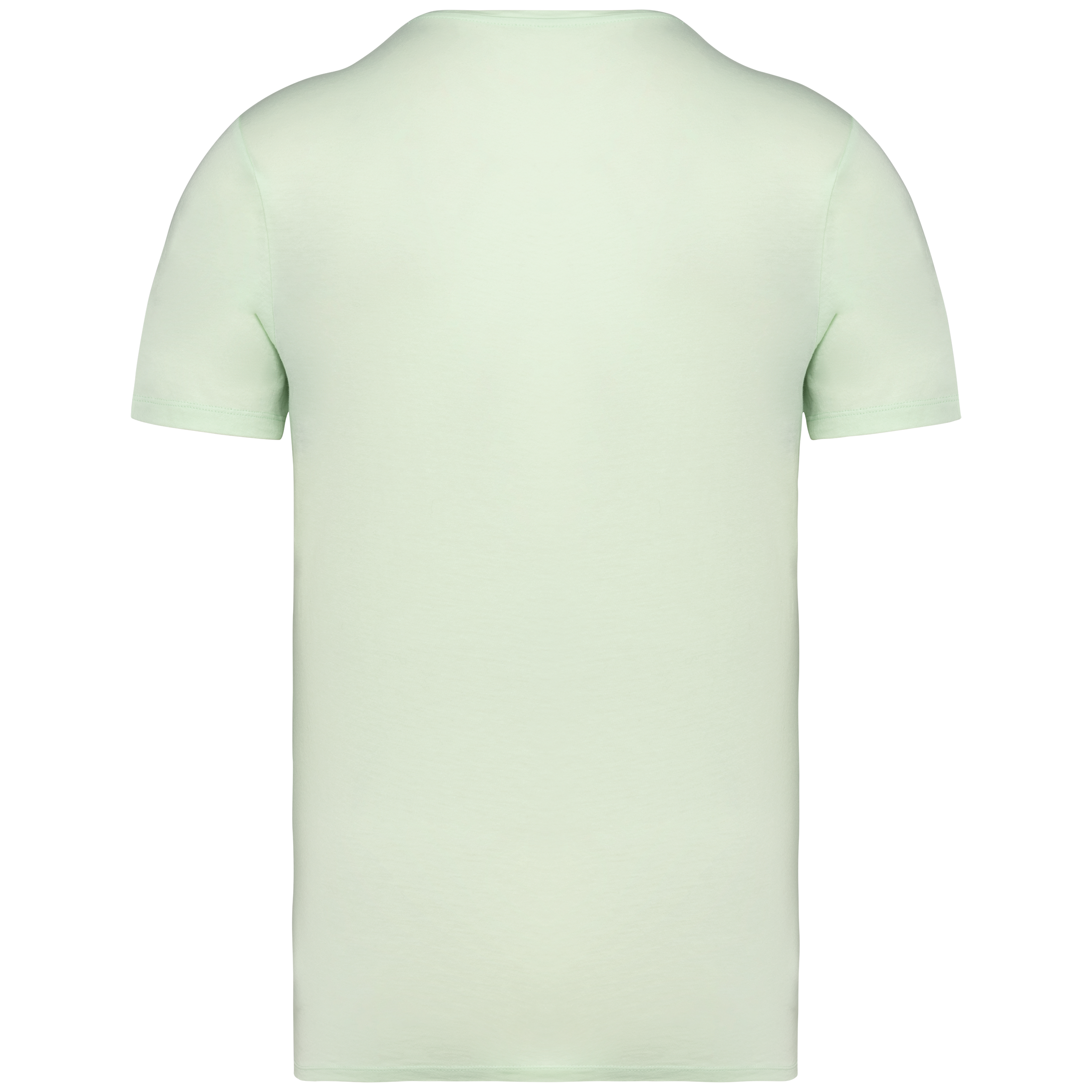 T-shirt eco-responsável com aspecto lavado unissexo - Washed Green Apple