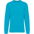 NS400 - Light Turquoise