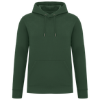 NS401 - Forest Green