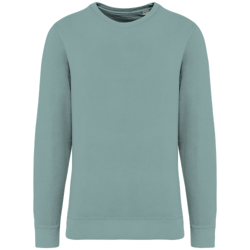 Native Spirit Unisex French Terry crew neck sweatshirt in green, style NS414