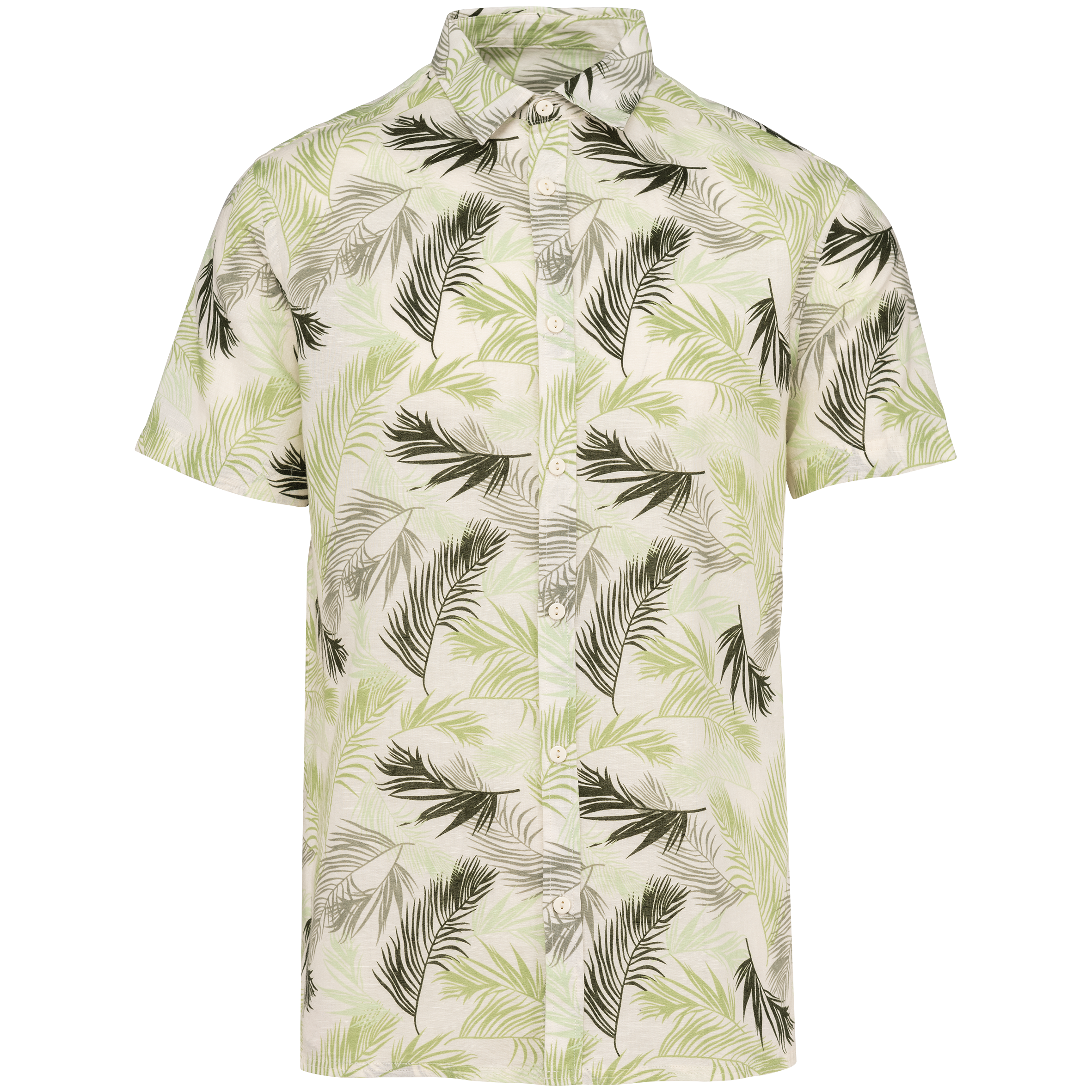 Ivory Palm Leaves