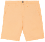 Pastel Apricot