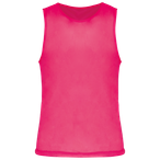 PA043 - Fluorescent  Pink