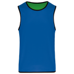 PA044 - Sporty Royal Blue / Green