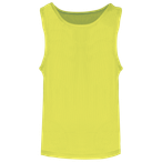 PA047 - Fluorescent Yellow