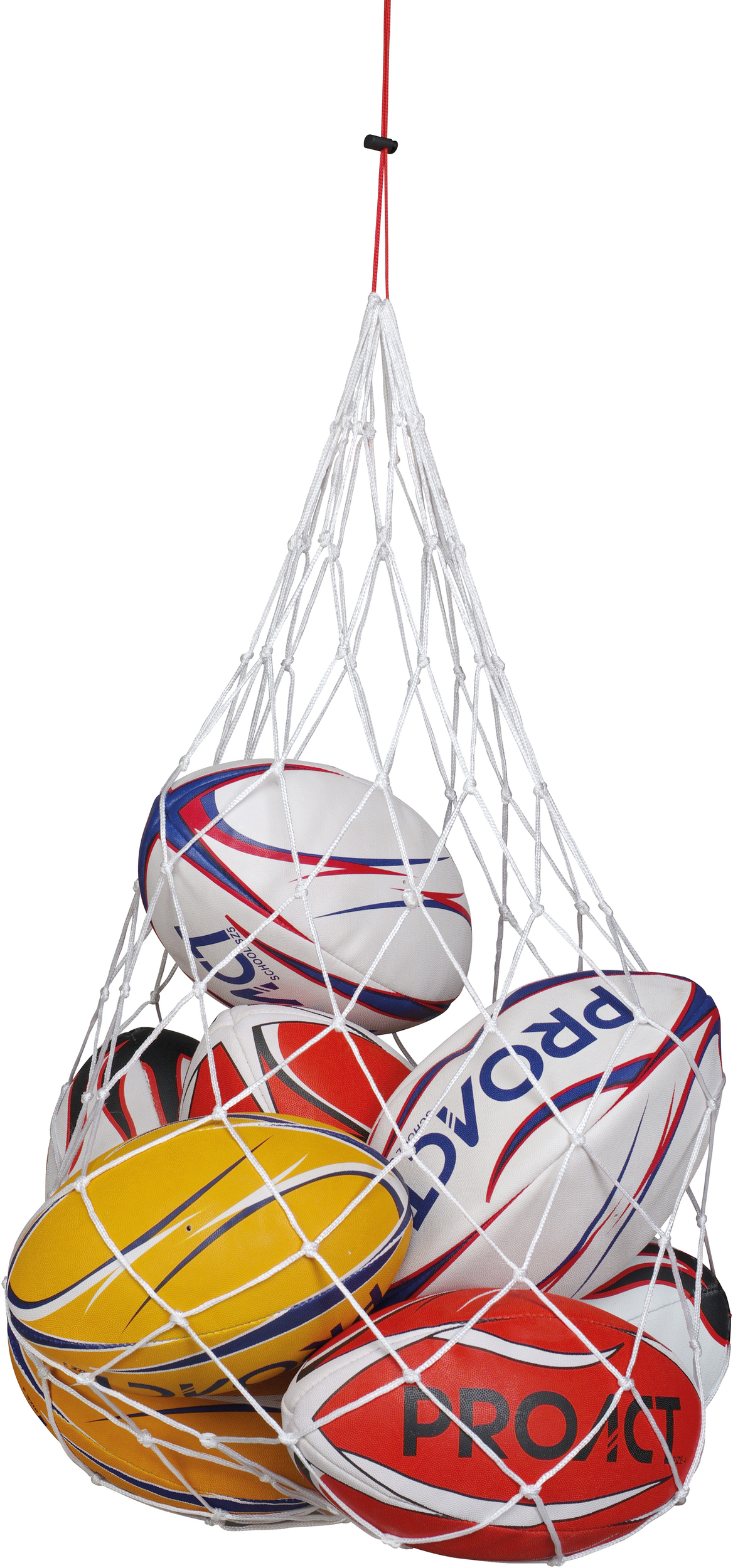 Ball carry net