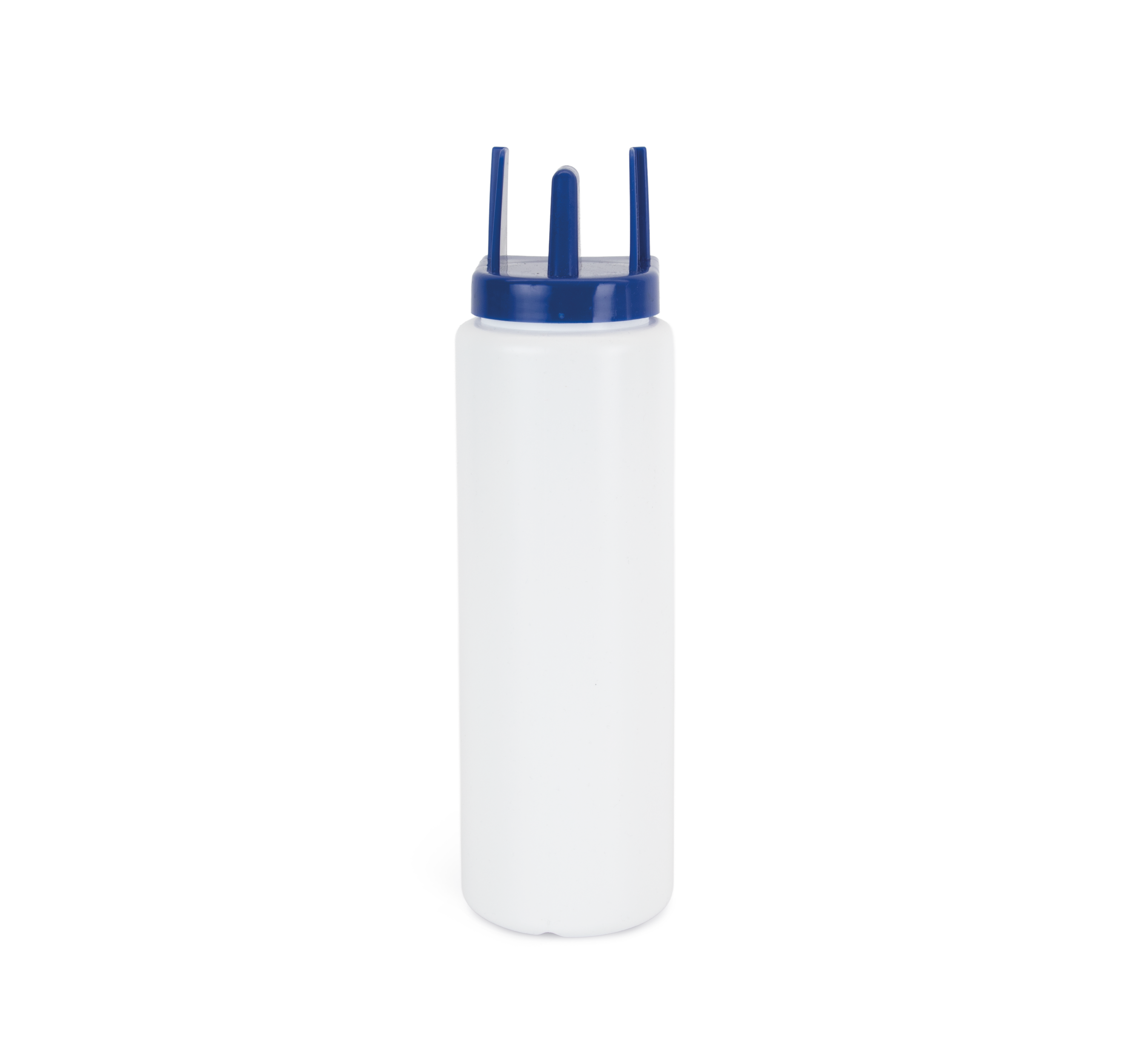 White / Royal Blue