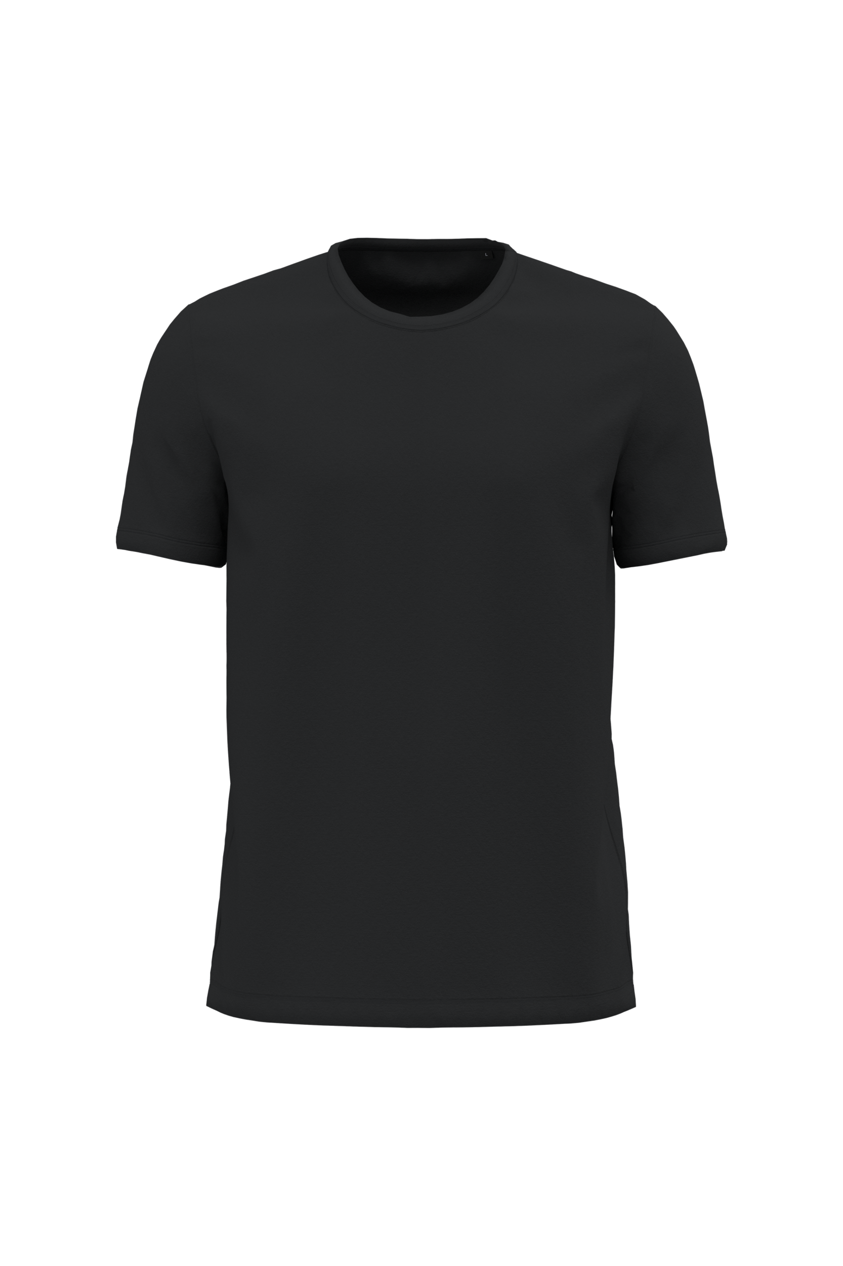 T-shirt algodão biológico interlock de homem