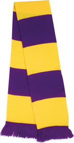 R146X - Purple / Yellow