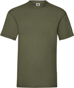 SC221 - Classic Olive