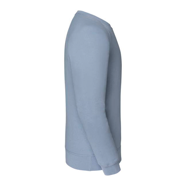 Sweat-shirt manches raglan (62-216-0) - Image 30