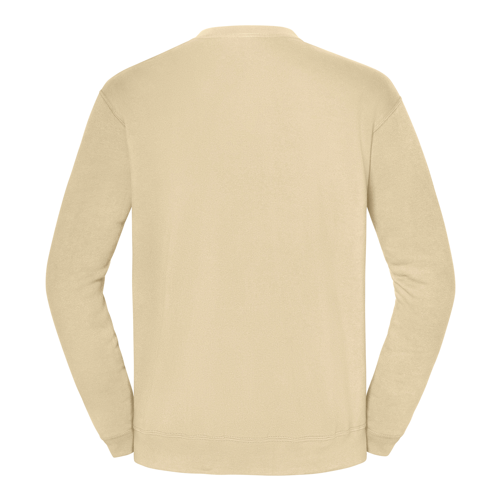 Sweat-shirt Iconic 250 - Image 20