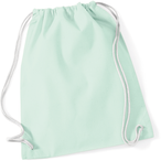 W110 - Pastel Mint / White