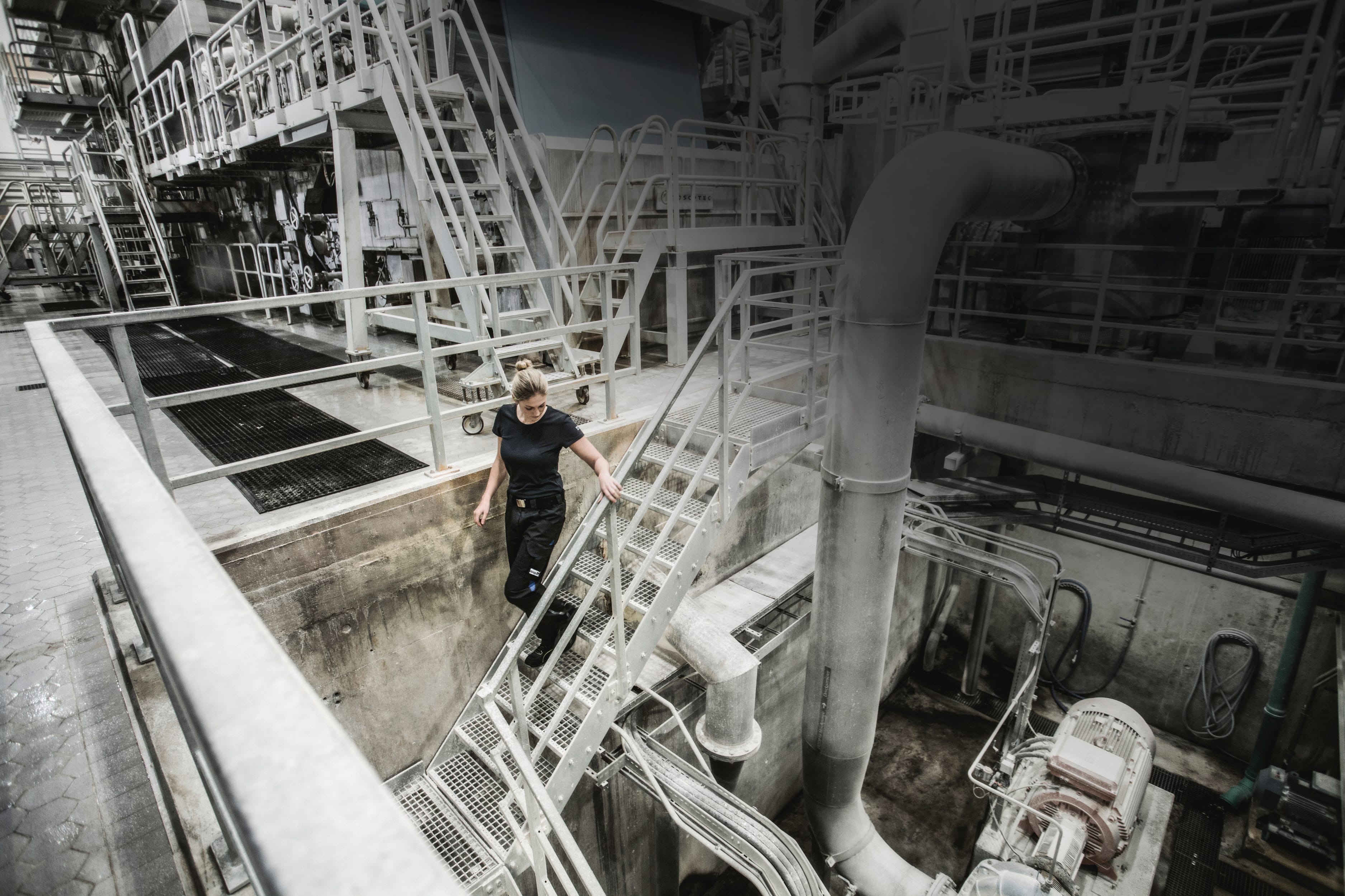 T-shirt decote redondo de senhora