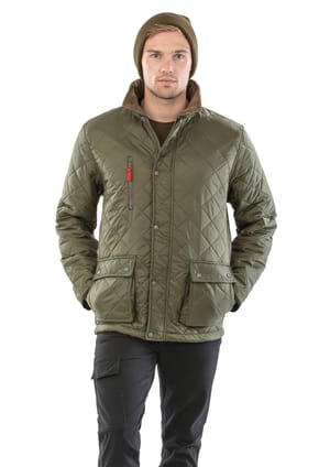 Cheltenham Gold Jack