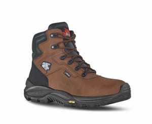 Veiligheidsschoenen Climb GTX
