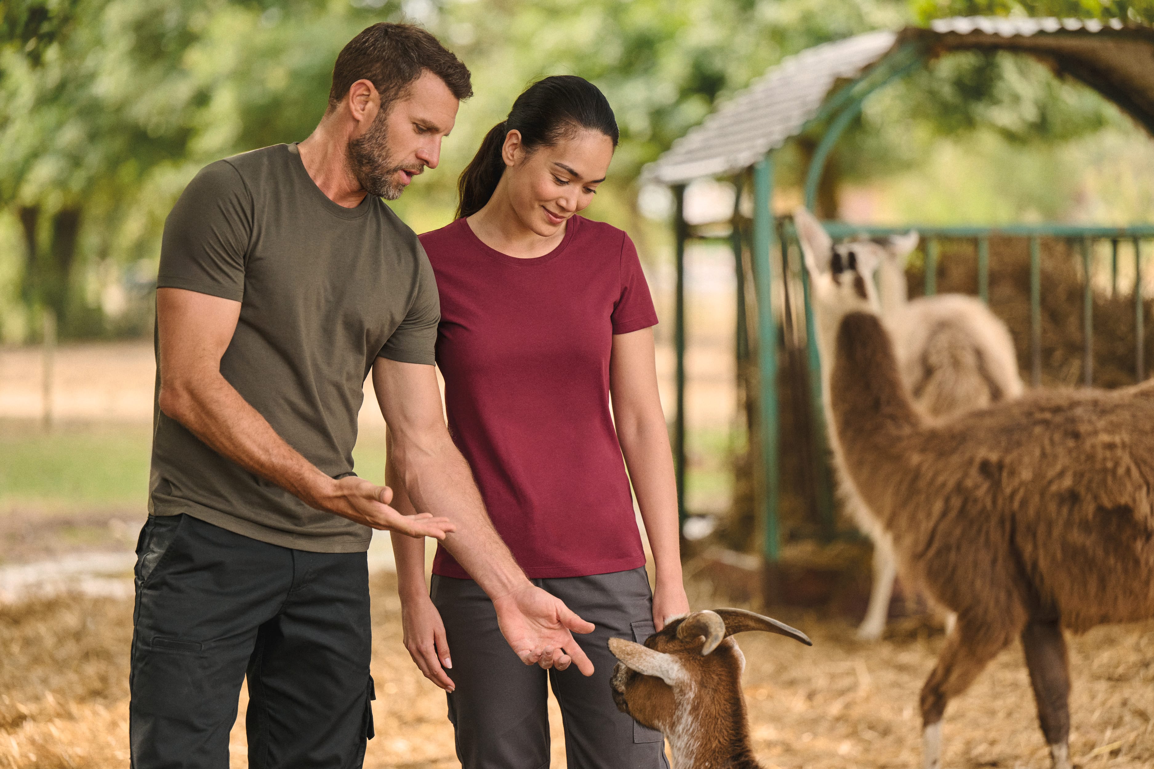 T-shirt com tratamento antibacteriano de senhora