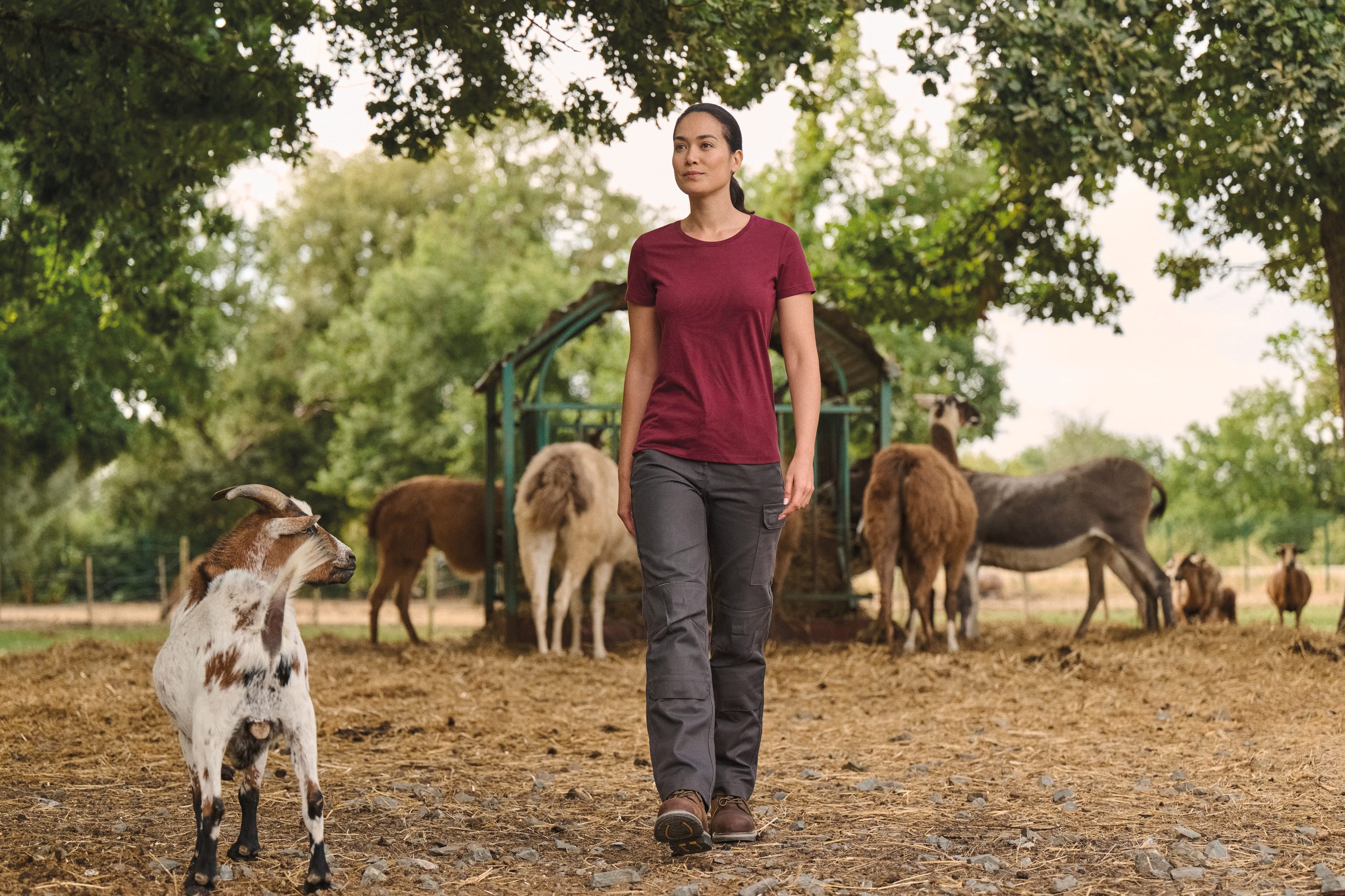T-shirt com tratamento antibacteriano de senhora