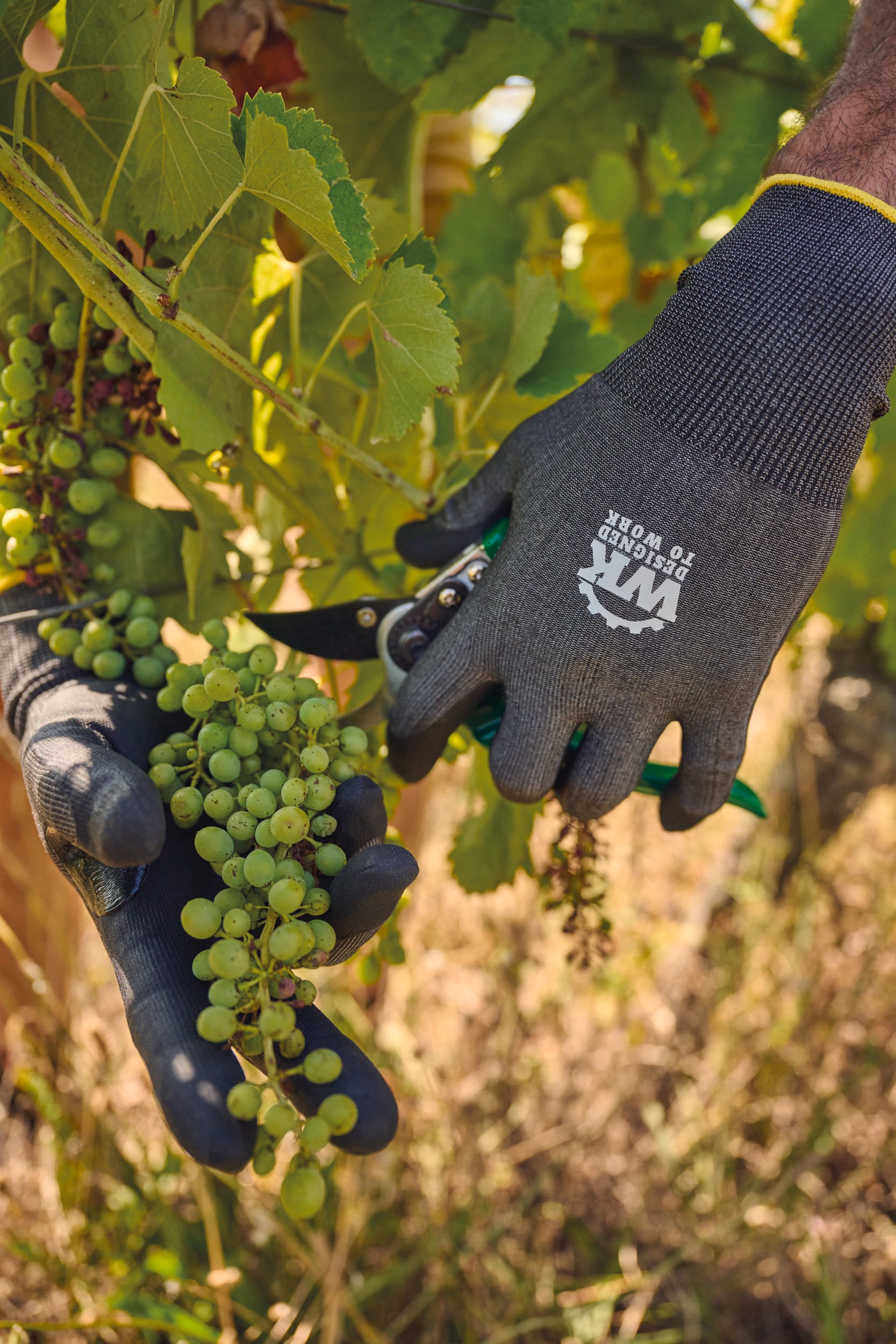 Gants tactiles de protection contre les coupures - Image 7